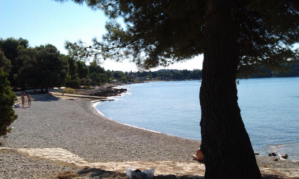 Apartments Kump Rovinj Kültér fotó